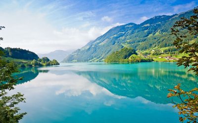 Diseño en la naturaleza