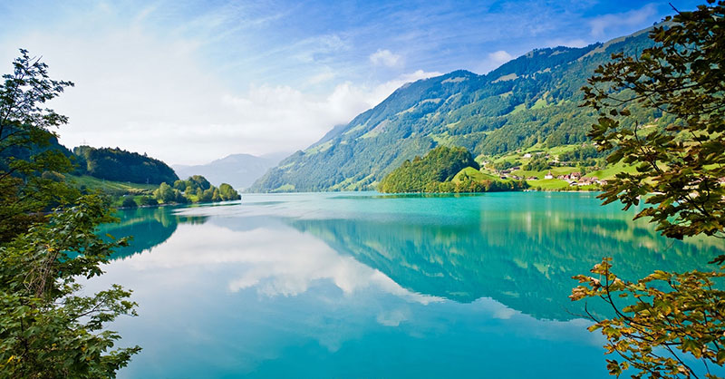 Diseño en la naturaleza