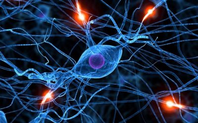 ¿Casualidad o diseño?