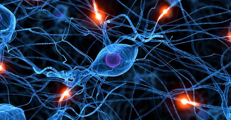 ¿Casualidad o diseño?