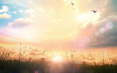 Creacionismo ¿válido aún en el nuevo milenio?