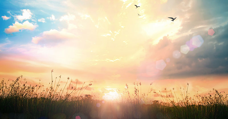 Creacionismo ¿válido aún en el nuevo milenio?