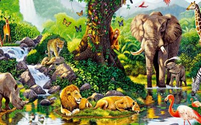 Ecología, biodiversidad y creación: un enfoque estructural