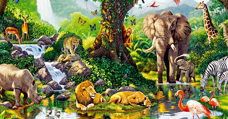 Ecología, biodiversidad y creación: un enfoque estructural