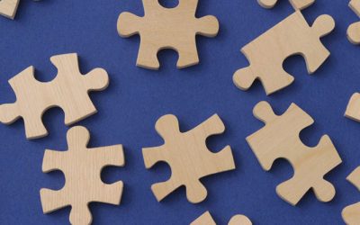 La naturaleza ¿un rompecabezas?