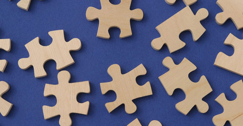 La naturaleza ¿un rompecabezas?