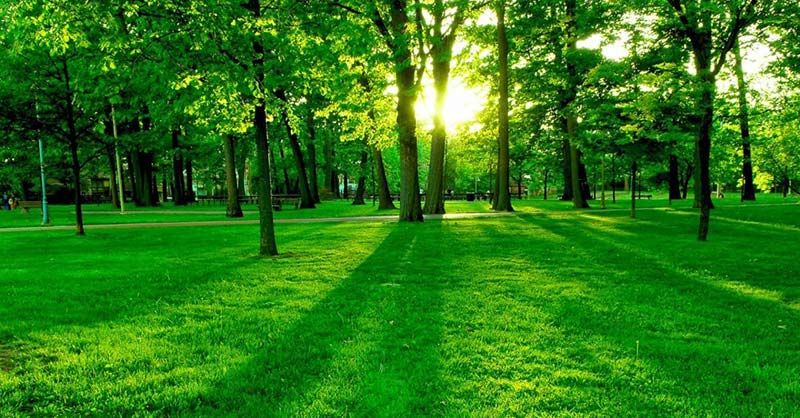 Yo creo en un Dios Creador