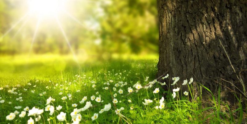 Faltan 6 meses para el Sábado de la Creación 2019