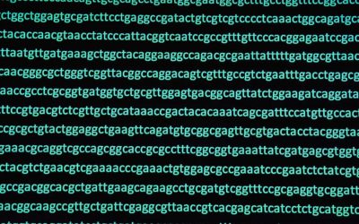 Por qué creo en la creación