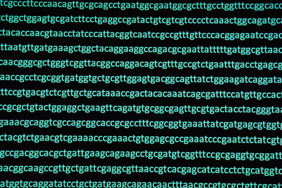 Por qué creo en la creación