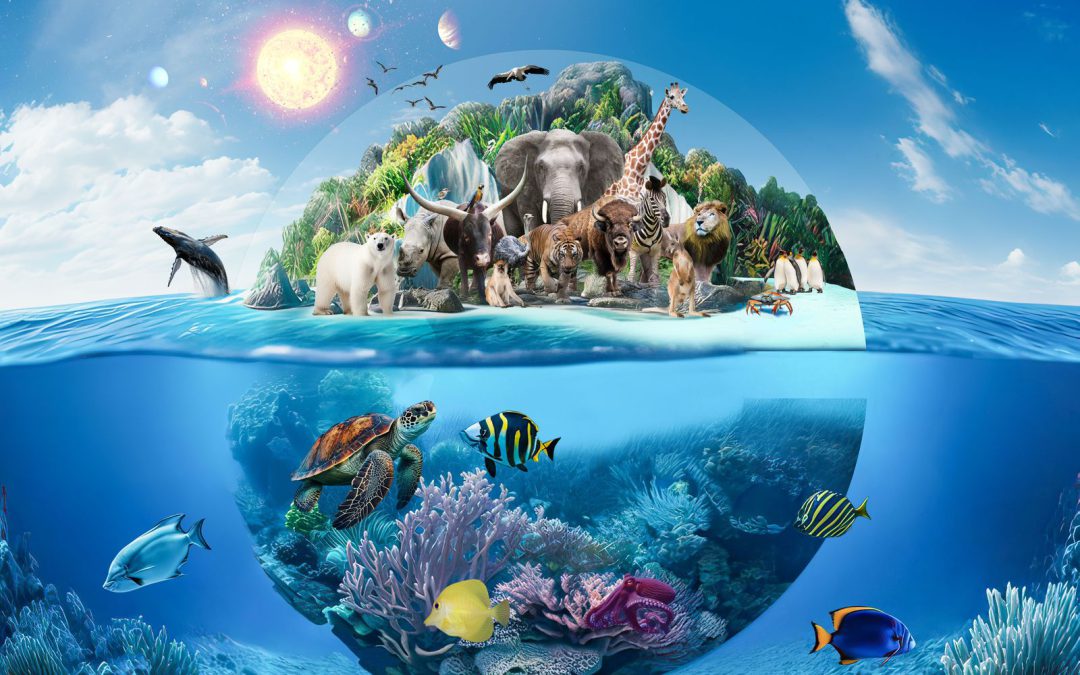 Sábado de la Creación 2025